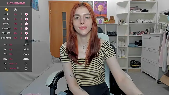broosnica1 webcam