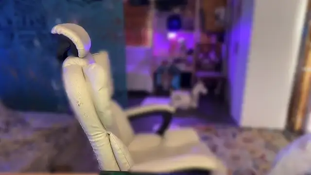 _dota2_ webcam