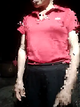 phlin1 webcam