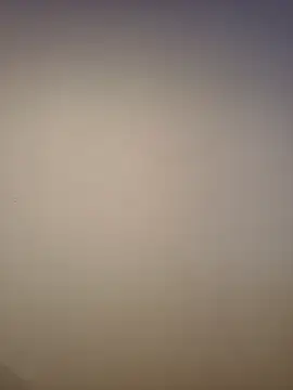 AlphaGymMale webcam