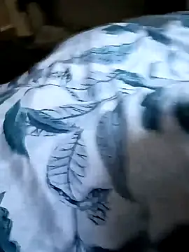 NiceBadgera webcam
