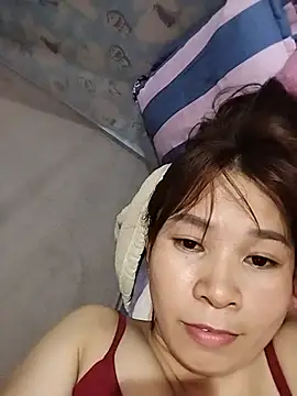 Biva11 webcam