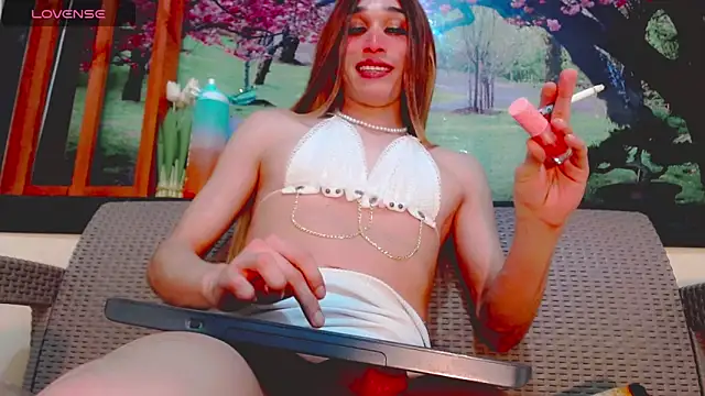 britanny_noroeste webcam