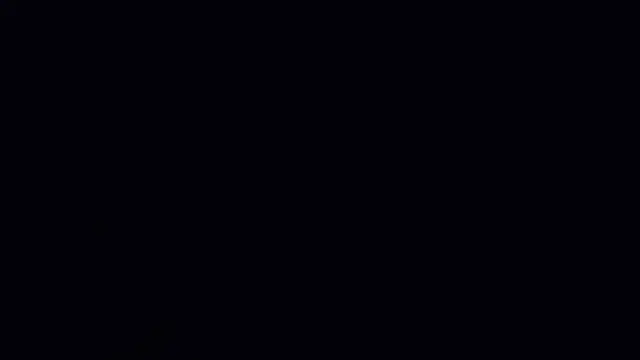 forfuntr Live Webcam on Stripchat