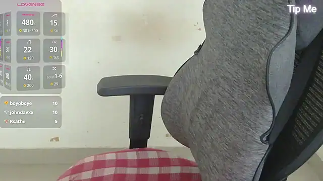 punemodel