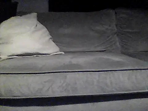 perlados webcam