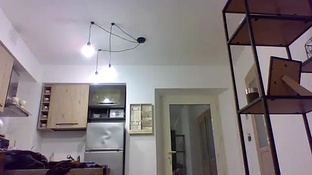 Int1mo webcam
