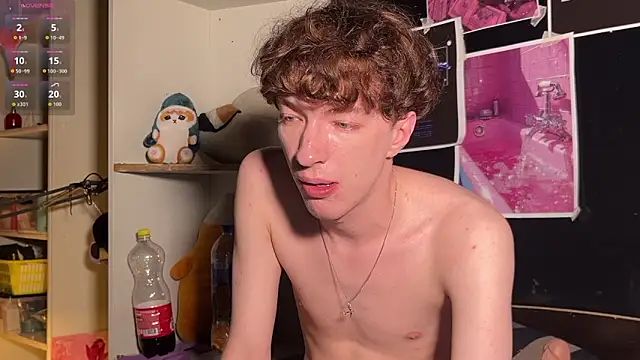 vogueslay webcam