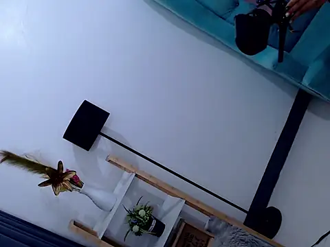 Cleofex webcam