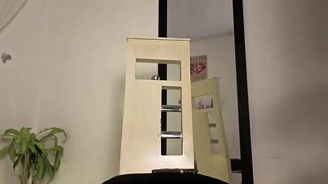 ArtMaria webcam