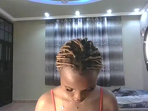 PrettyT5 webcam