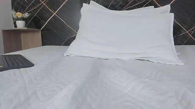 Bruno_fox webcam