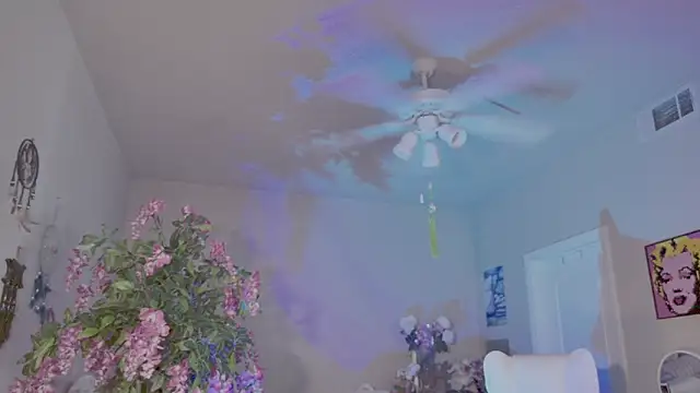 Talulaa webcam