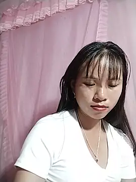 Wily-06 webcam
