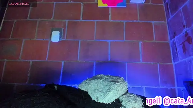 Cata-angel live cam on StripChat