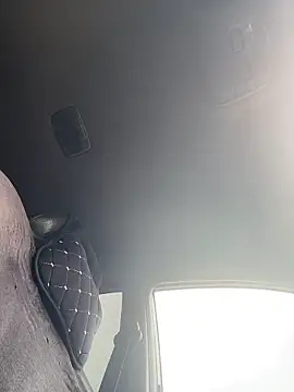MerlinDave webcam