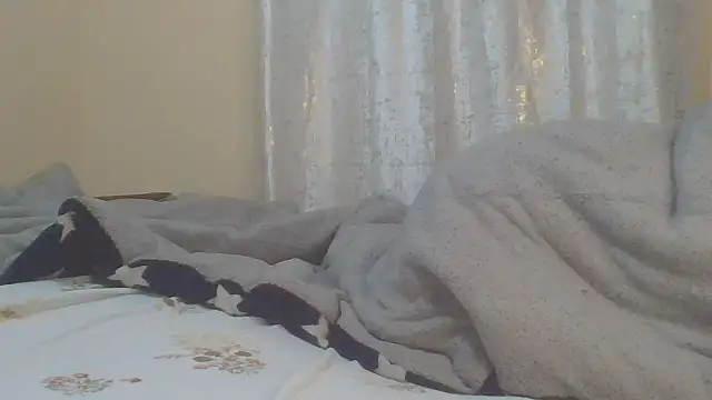 ndivhuwomuleya webcam