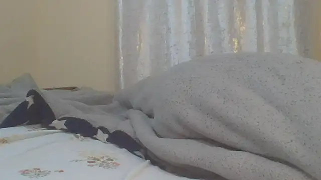 ndivhuwomuleya webcam