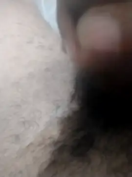 dheck2020 webcam