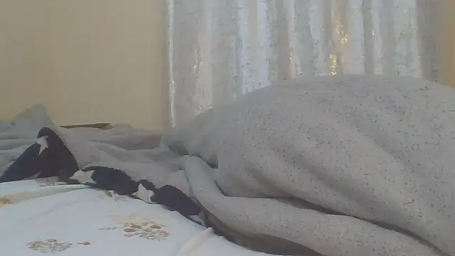 ndivhuwomuleya webcam