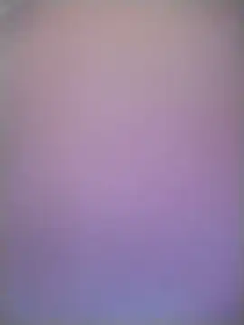 horse_Blackcock