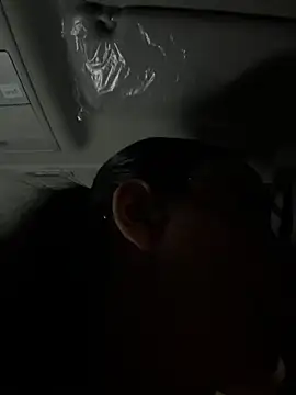 zui_lu webcam