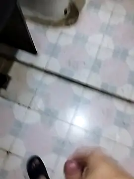 zwc147369 webcam