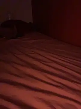 SmokyDee webcam