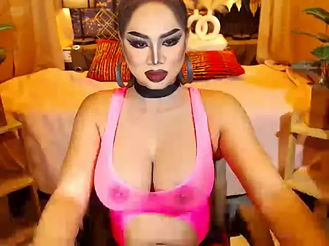 TRANSLUNAA webcam