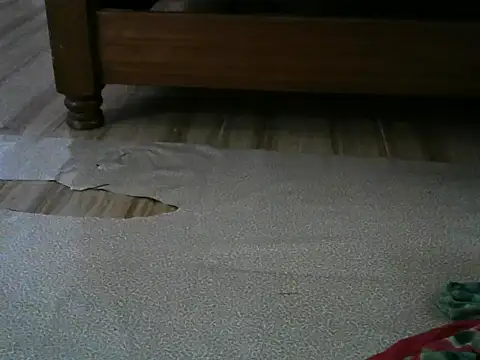 cookiesassy webcam
