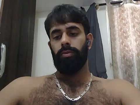 indianhairybull