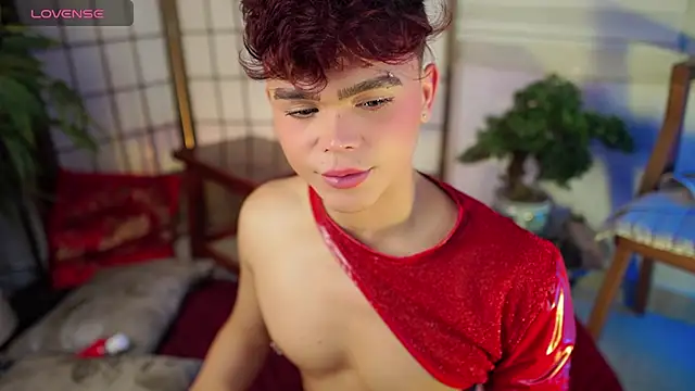 PRINCE_STEV webcam