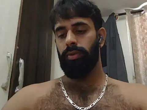 indianhairybull webcam