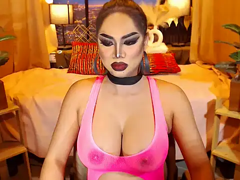 TRANSLUNAA webcam
