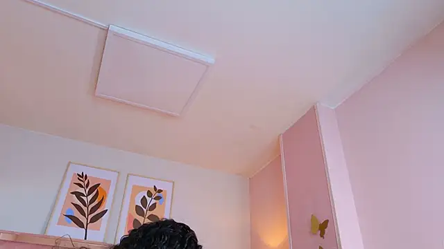 DemiJones_ webcam