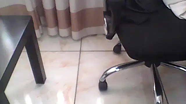 BaDSubMiss webcam