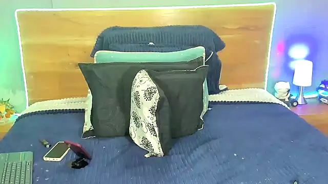 Prometeo-grizzly webcam
