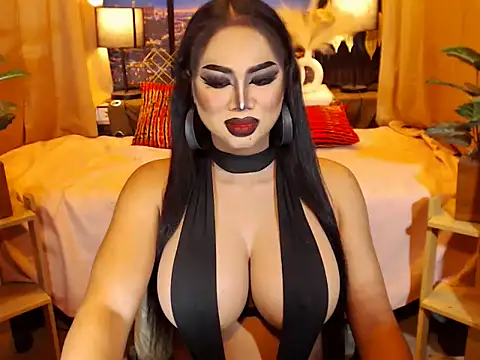 TRANSLUNAA webcam