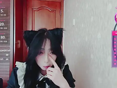 qiao-520 webcam