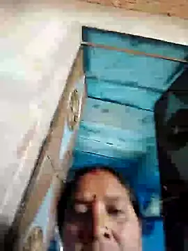 Loomaraj webcam