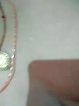 Loomaraj webcam