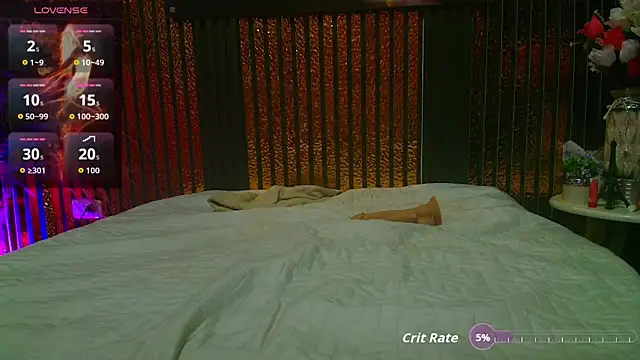 perfectmatch_ webcam
