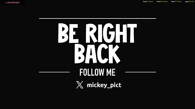 mickeypict webcam