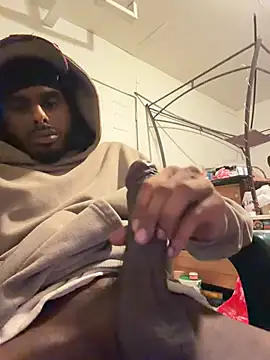 dingoding webcam