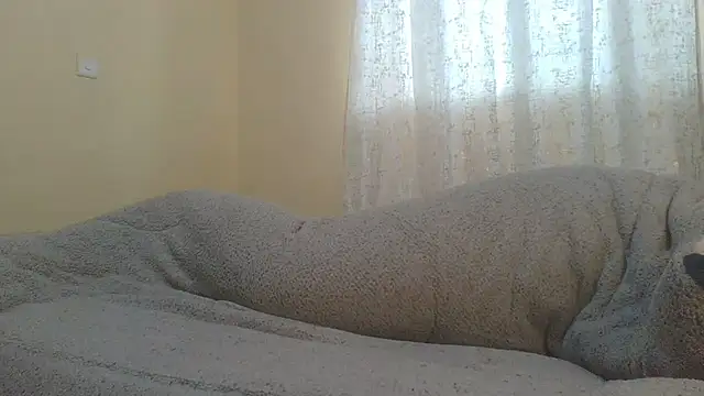 ndivhuwomuleya webcam