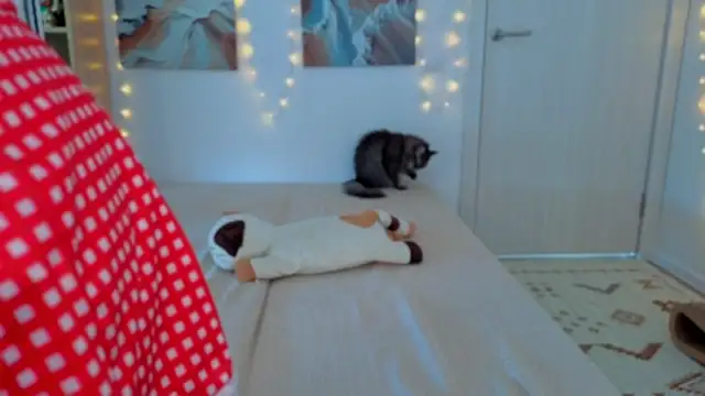 MilenaSaint webcam
