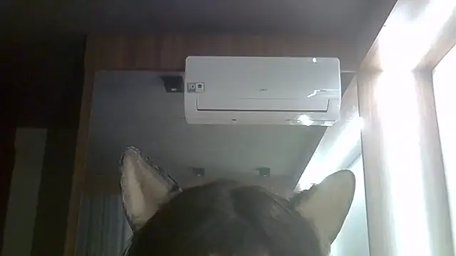SkinnyKitten webcam