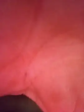 segnini21 webcam