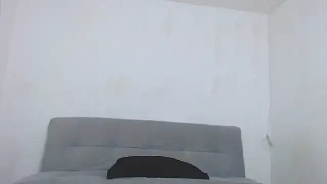 wild-district webcam