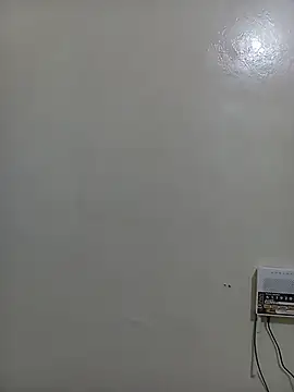SashaFreshy webcam